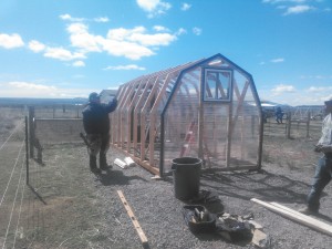 Building Chicken Coop Redmond Oregon